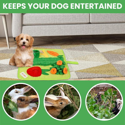 Snuffle Mat for Small Dogs & Cats Soft Foraging Mat for Rabbits Washable anti Slip Perfect for Bunnies Guinea Pigs & Hamsters Sniff Puzzle Toy for Puppies (Small)
