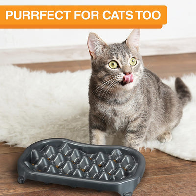 Neater Slow Feeder Dog Bowls, Slows down Fast Eaters to Help Digestion & Prevent Overeating, Non-Slip Food Bowl, Bpa-Free, Holds 2.5 Cup of Food for Small to Medium Breed or Puppy