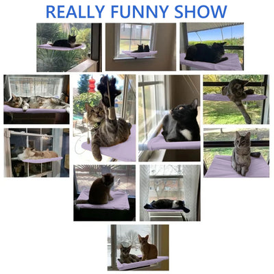 Window Cat Hammock: Suction Cup Hanging Perch Bed with Sill Stand (Violet)