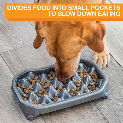 Neater Slow Feeder Dog Bowls, Slows down Fast Eaters to Help Digestion & Prevent Overeating, Non-Slip Food Bowl, Bpa-Free, Holds 2.5 Cup of Food for Small to Medium Breed or Puppy