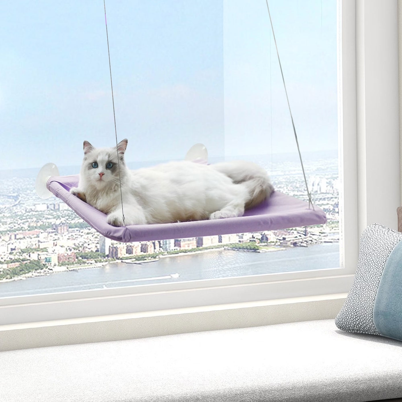 Window Cat Hammock: Suction Cup Hanging Perch Bed with Sill Stand (Violet)