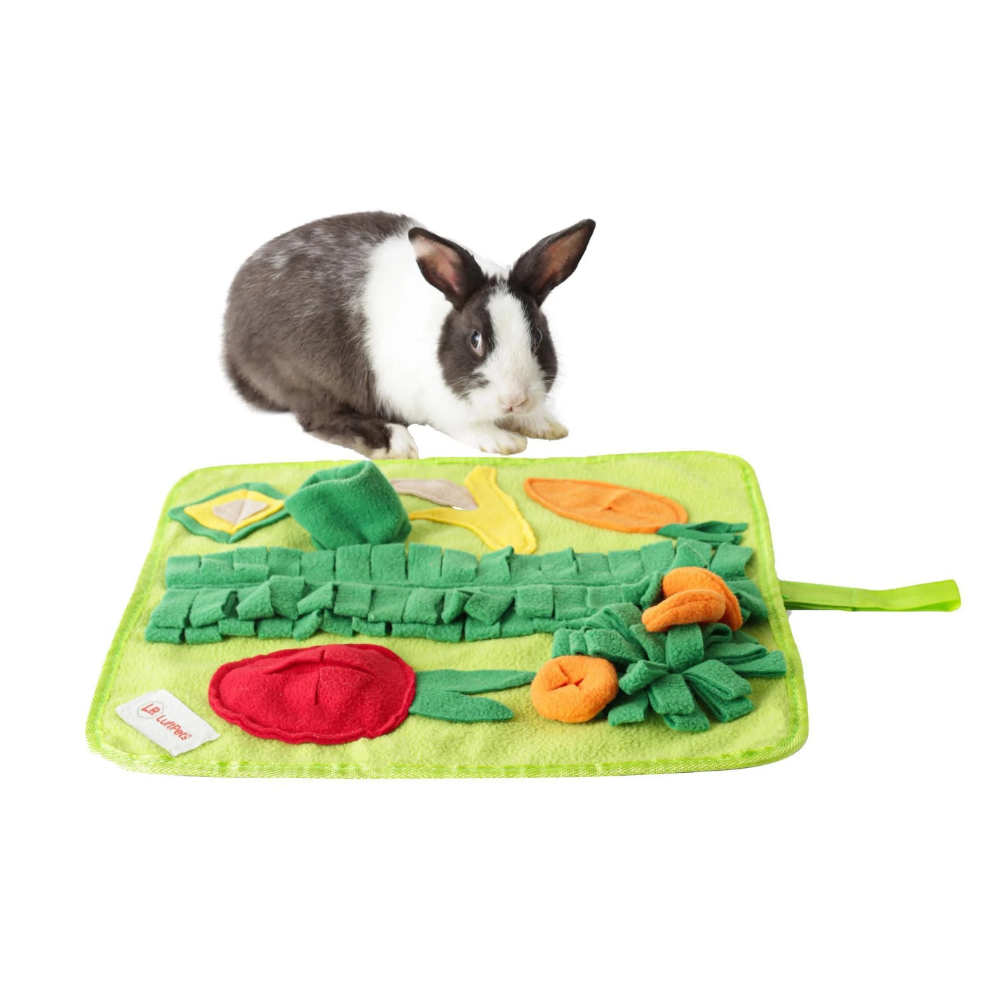 Snuffle Mat for Small Dogs & Cats Soft Foraging Mat for Rabbits Washable anti Slip Perfect for Bunnies Guinea Pigs & Hamsters Sniff Puzzle Toy for Puppies (Small)