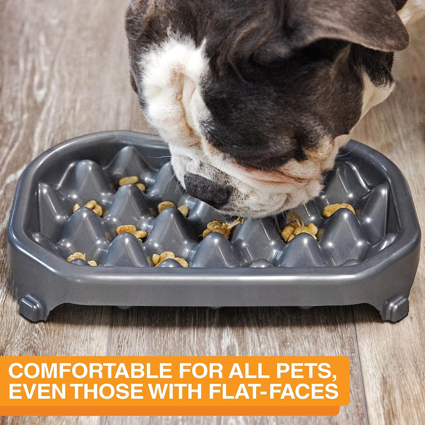 Neater Slow Feeder Dog Bowls, Slows down Fast Eaters to Help Digestion & Prevent Overeating, Non-Slip Food Bowl, Bpa-Free, Holds 2.5 Cup of Food for Small to Medium Breed or Puppy